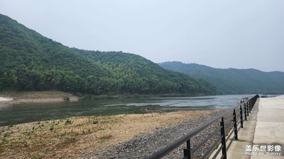 隨便拍拍