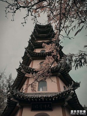 隨手拍