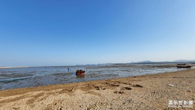 趕海