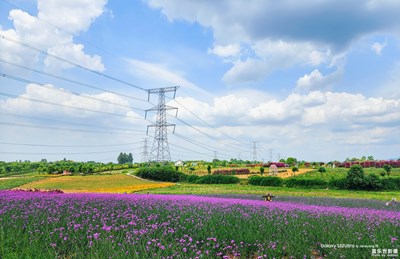 [時(shí)光正好]＋遇見普羅旺斯
