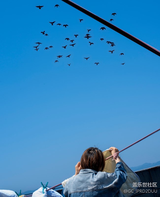 亂七八糟的各種問題所以機型都在出現(xiàn).....