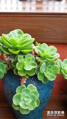 鄉(xiāng)下小鎮(zhèn)隨拍