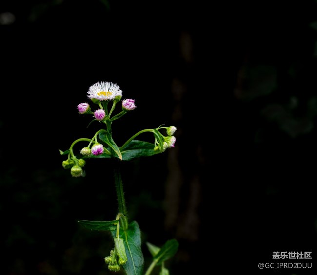 亂七八糟的各種問題所以機型都在出現(xiàn).....