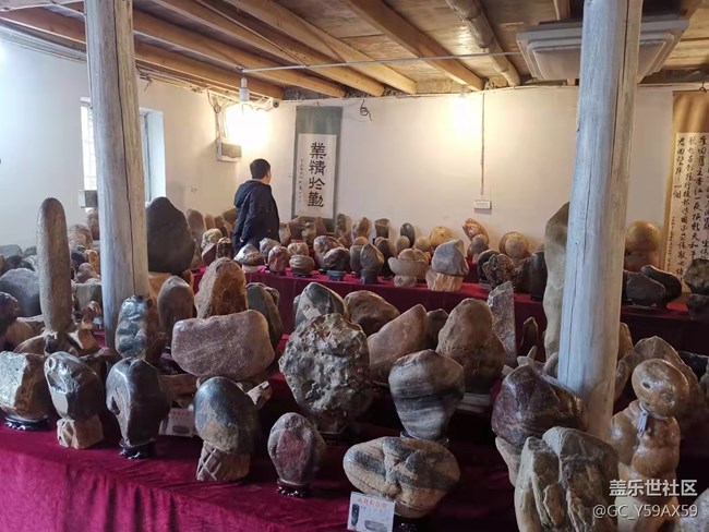 【五一春游日記】看石展