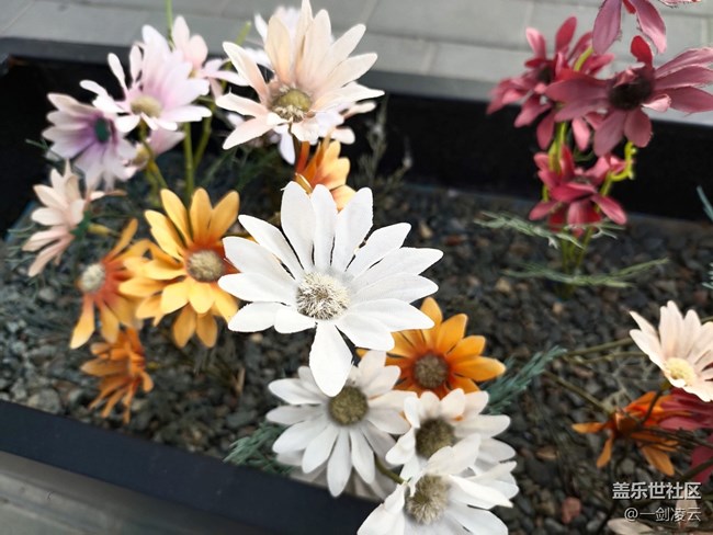 【五一生活隨手拍】生活處處都有美