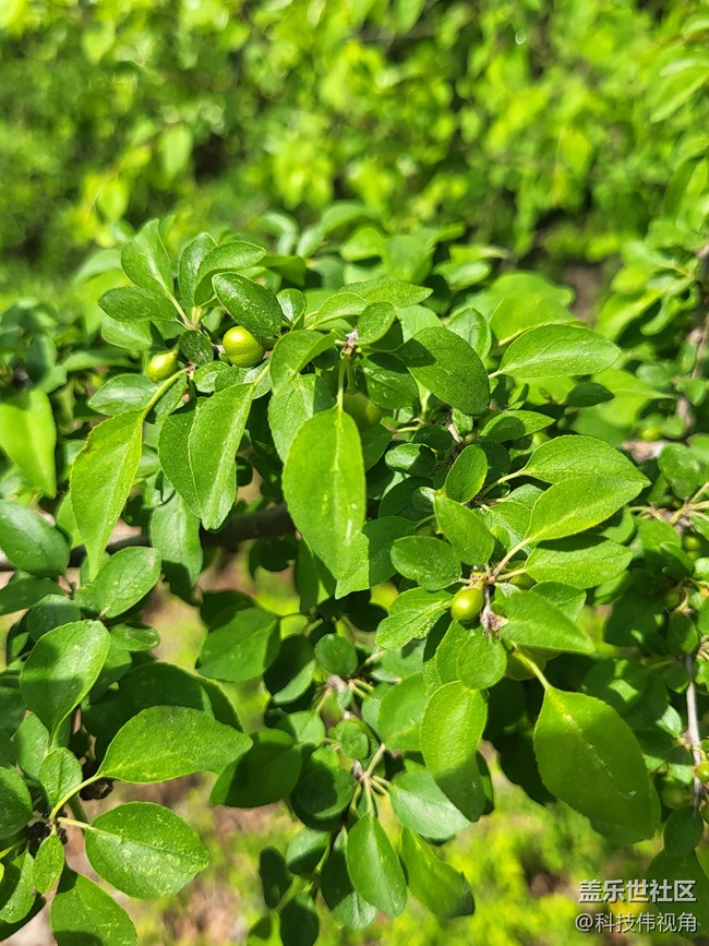 三星S21FE記錄五一戶外游玩的美景