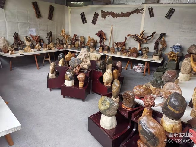 【五一春游日記】看石展