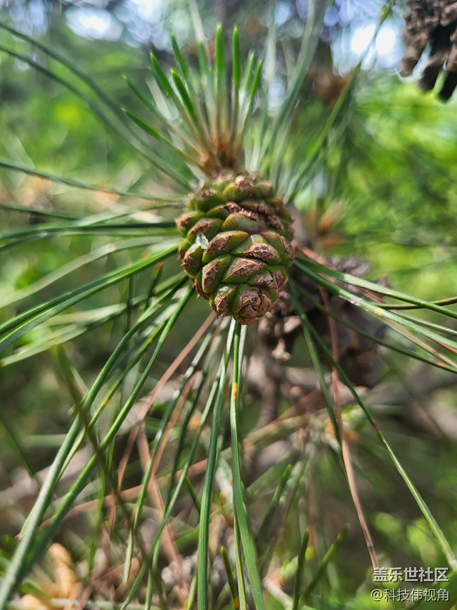 三星S21FE記錄五一戶外游玩的美景