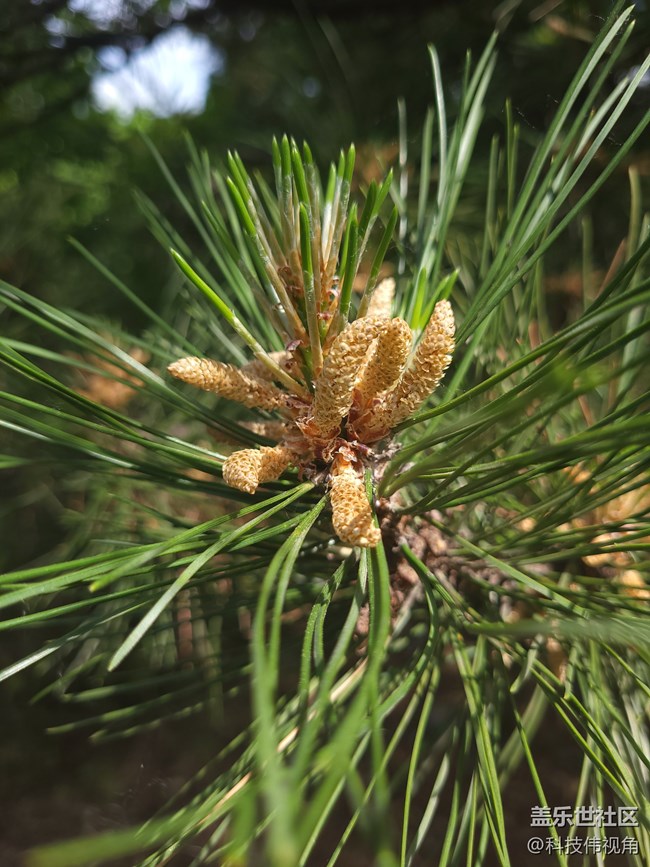 三星S21FE記錄五一戶外游玩的美景