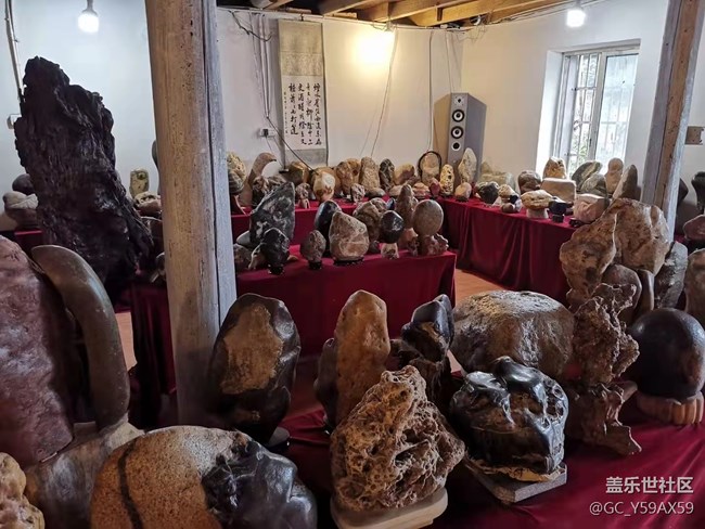 【五一春游日記】看石展