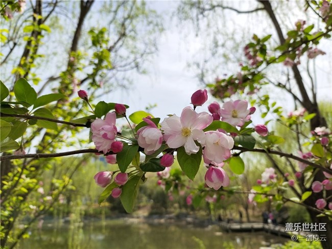 【五一春游日記】別樣的風光——小區(qū)游記