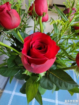 鮮花