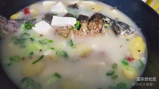 【食糧】+ 自己在家做魚湯