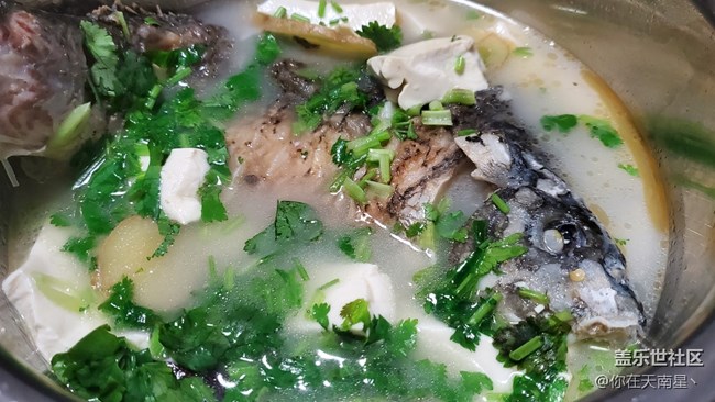 【食糧】+ 自己在家做魚湯