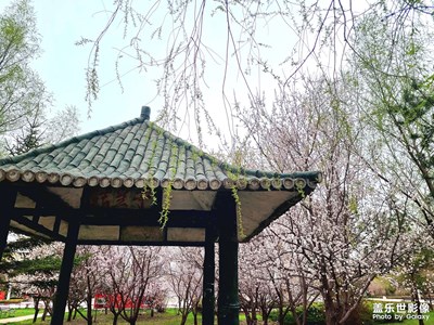 小區(qū)周邊廣場隨走隨拍