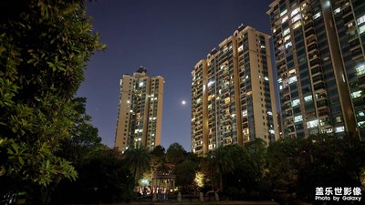 隨便拍拍