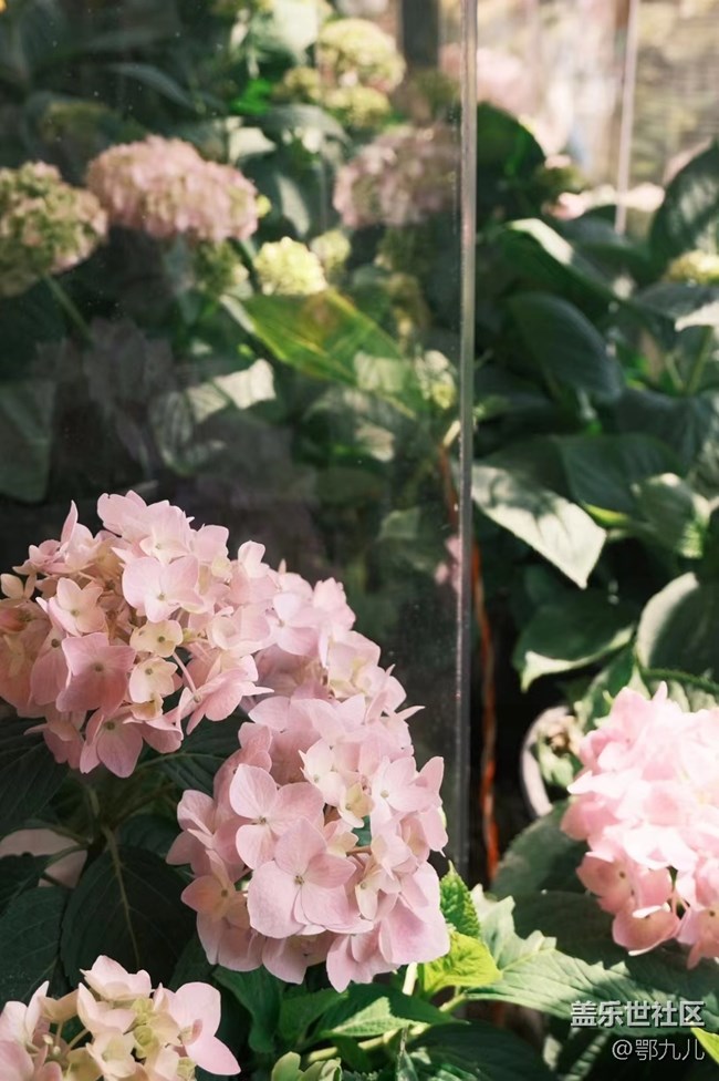 【五一生活隨手拍】小聚會(huì)