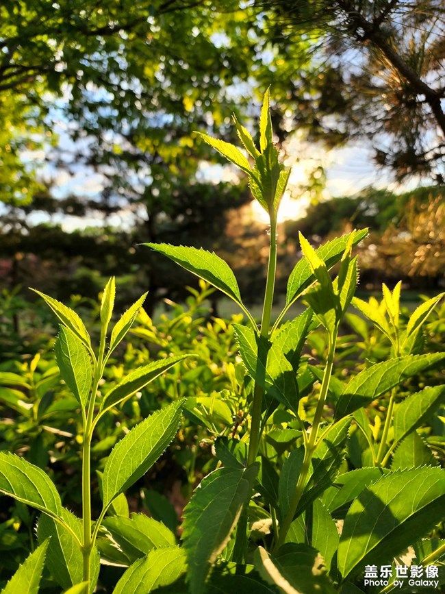 《每周星鮮事》 第103期:秀出你的五一生活