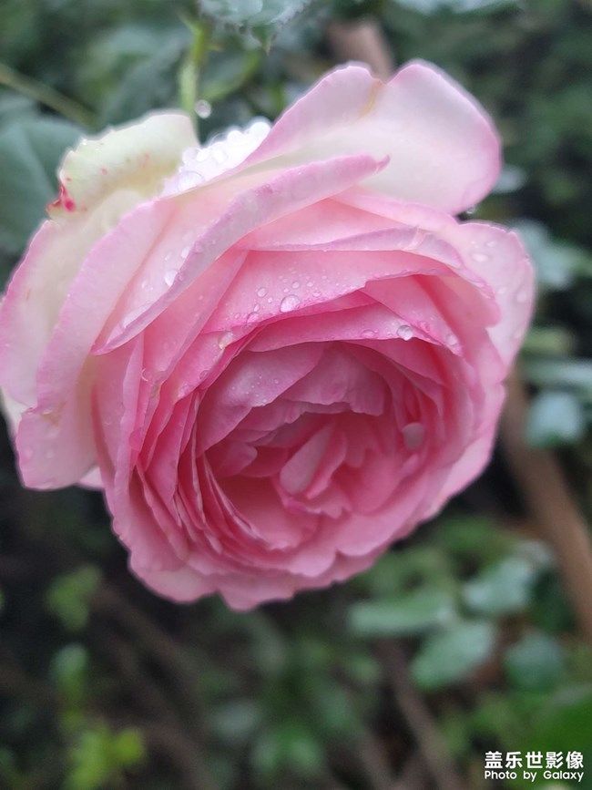 《每周星鮮事》 第103期:秀出你的五一生活