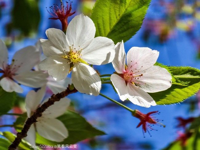 《每周星鮮事》 第103期:秀出你的五一生活