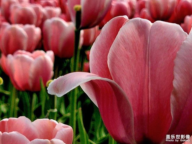 《每周星鮮事》 第103期:秀出你的五一生活