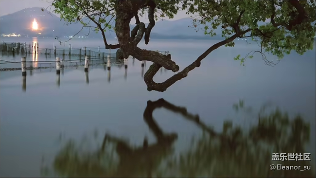 【少年王生鮮】杭州——我撿到寶藏的城市