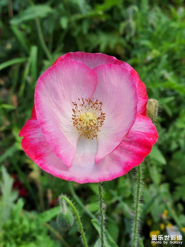 《每周星鮮事》 第103期:秀出你的五一生活