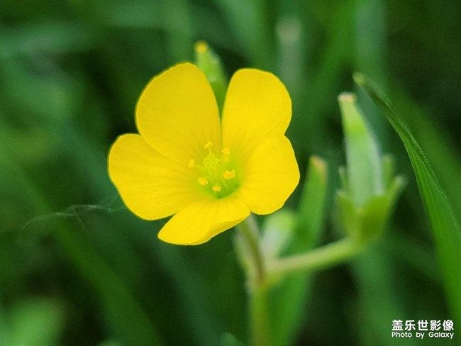 《每周星鮮事》 第103期:秀出你的五一生活