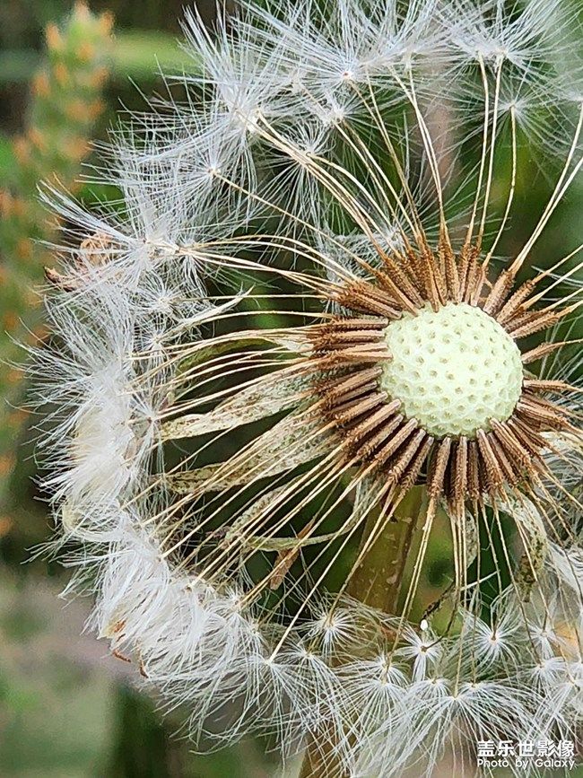 《每周星鮮事》 第103期:秀出你的五一生活