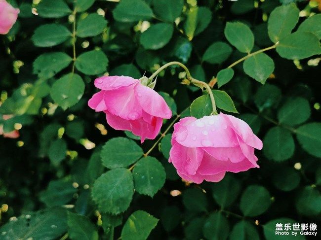 《每周星鮮事》 第103期:秀出你的五一生活