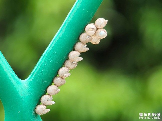 《每周星鮮事》 第103期:秀出你的五一生活