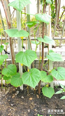 休閑時(shí)光