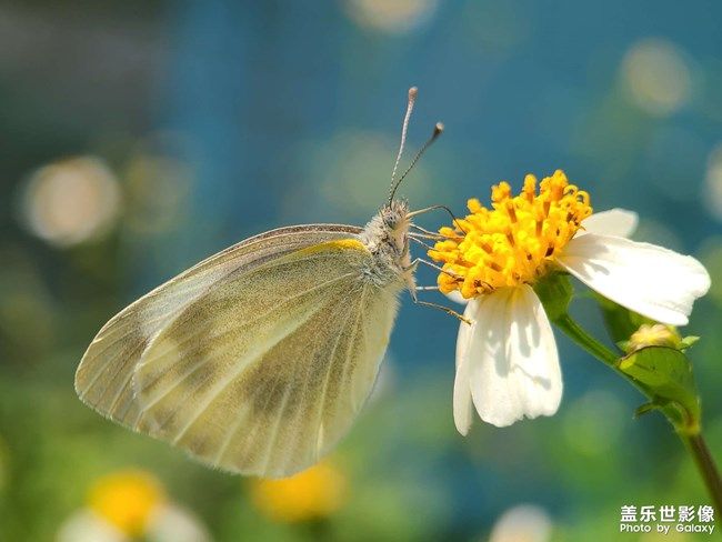 《每周星鮮事》 第103期:秀出你的五一生活