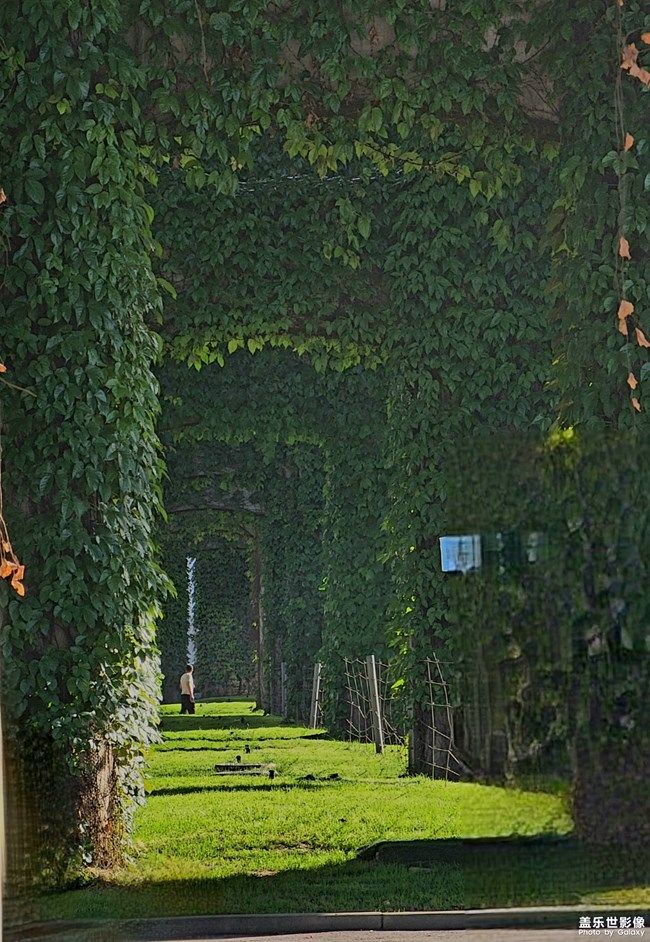 《每周星鮮事》 第103期:秀出你的五一生活