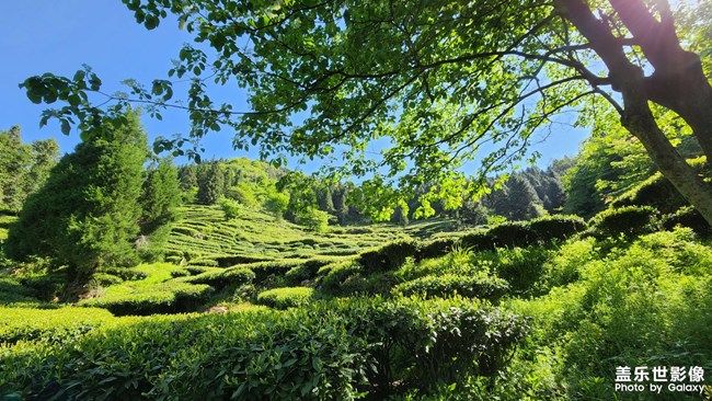 《每周星鮮事》 第103期:秀出你的五一生活