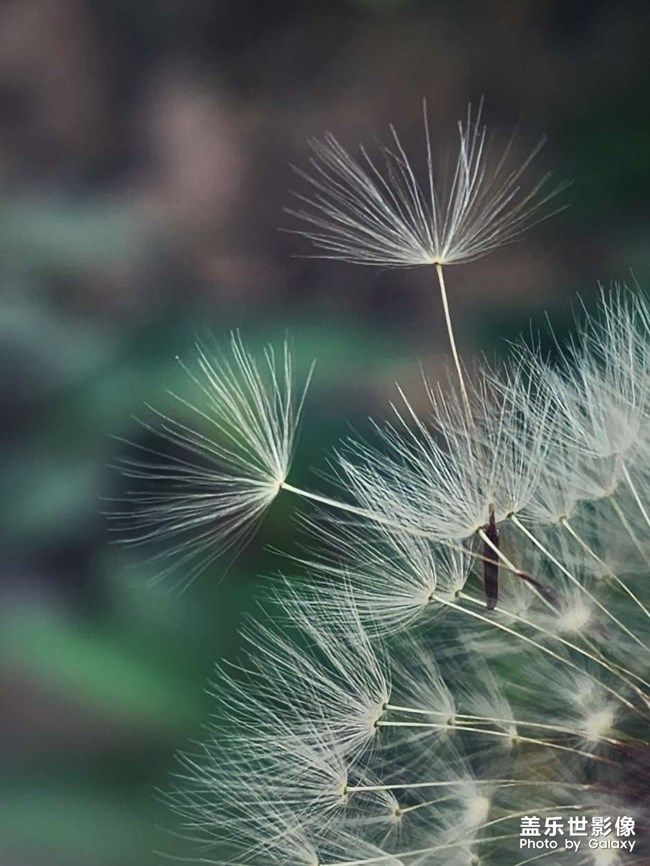 《每周星鮮事》 第103期:秀出你的五一生活