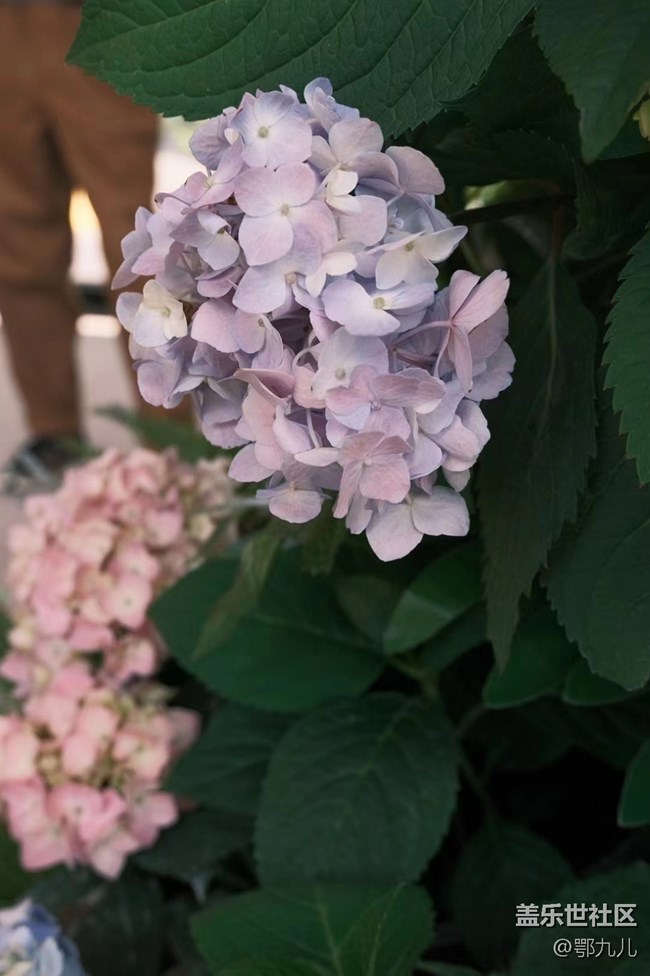 【五一生活隨手拍】小聚會(huì)