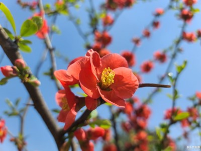 【時光正好】+紅顏