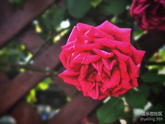 【你好夏天】+走出小區(qū)