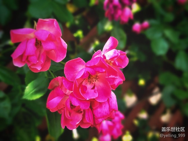 【你好夏天】+走出小區(qū)