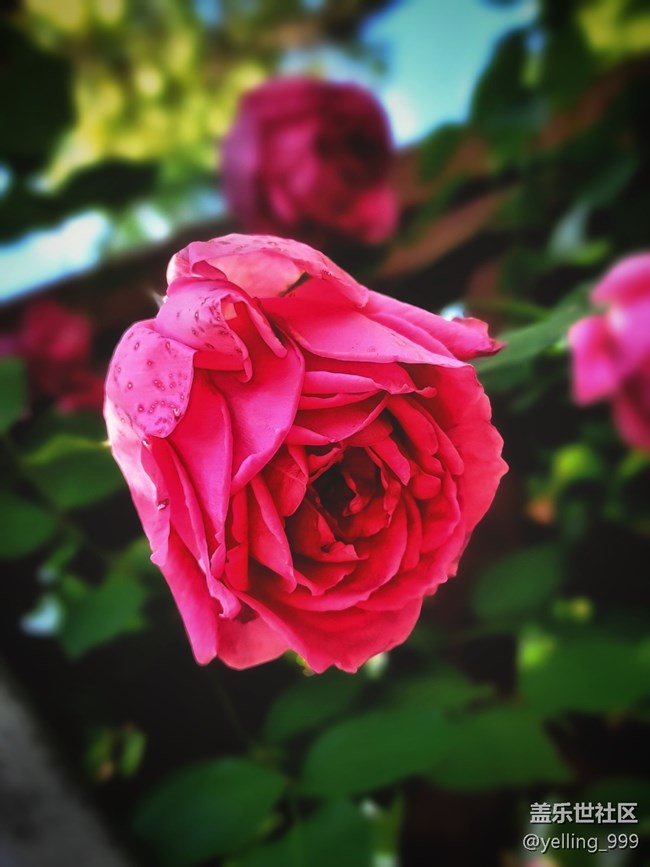 【你好夏天】+走出小區(qū)