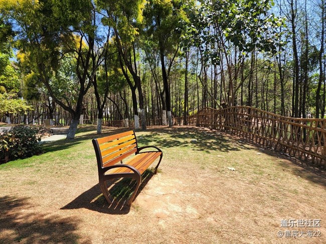 【你好夏天】+陽(yáng)光明媚