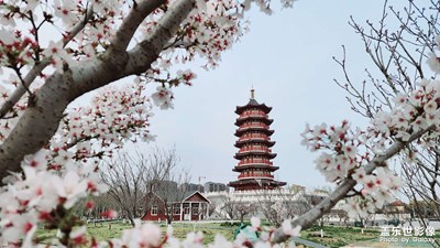 萬古塔春姿