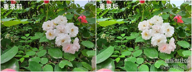 Galaxy S22 Ultra：那些隱藏在相冊(cè)中的寶藏功能