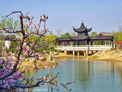 Galaxy S22Ultra  春滿園博園（一）