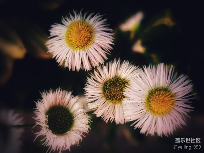 【你好夏天】+走出小區(qū)