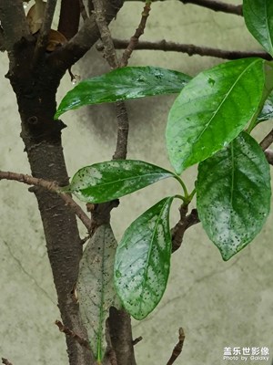 隨拍2