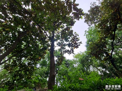 隨拍1