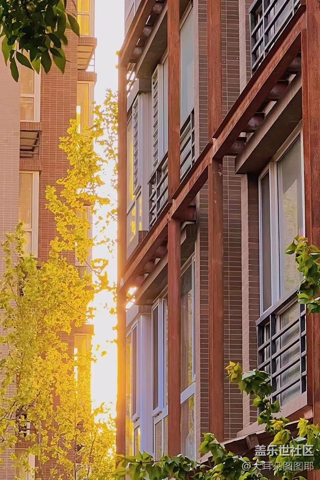 【你好夏天】夏日溫柔