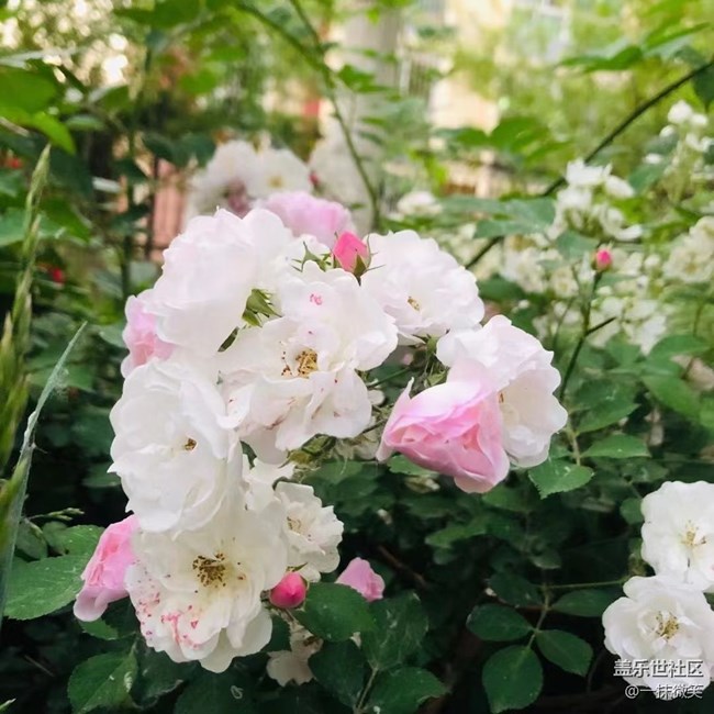 【你好夏天】收集夏天的浪漫